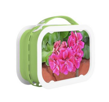Geranium Bloom lunchbox